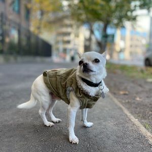 Meet your Posher, Kellie-anne